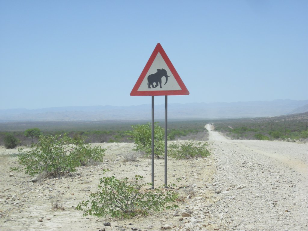 Image CIMG8130.JPG