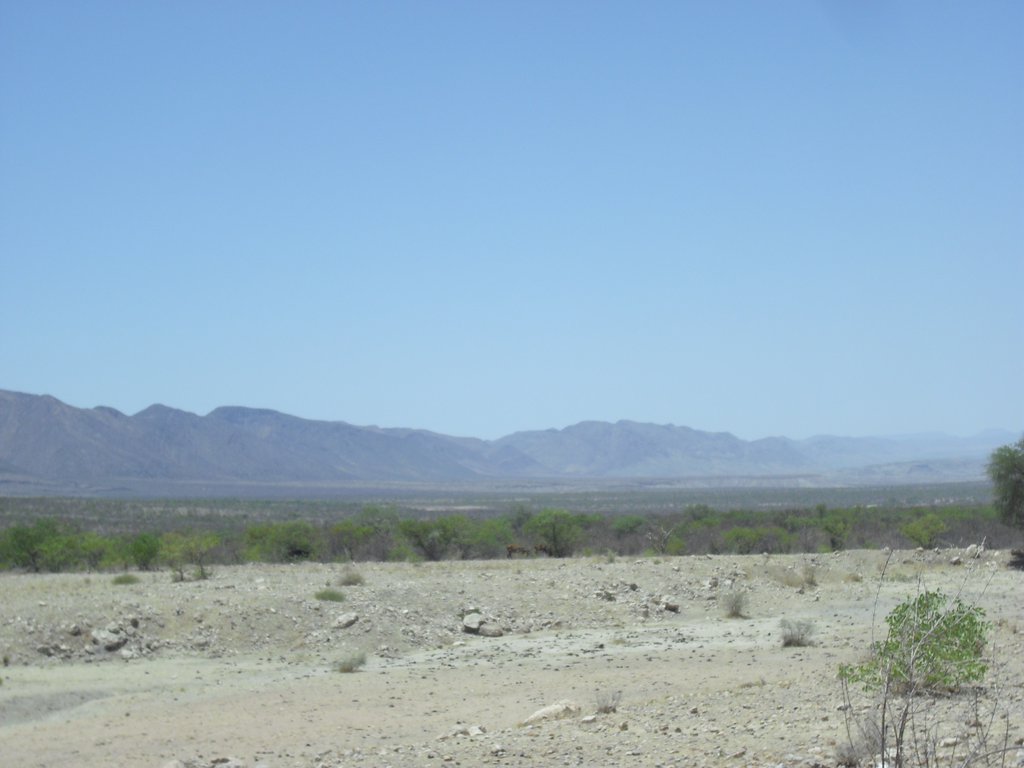 Image CIMG8131.JPG