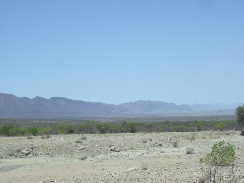 Image CIMG8131.JPG