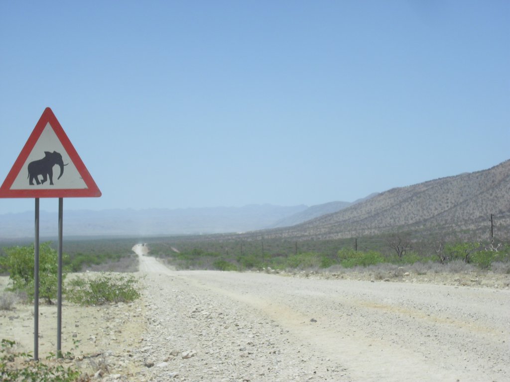 Image CIMG8132.JPG