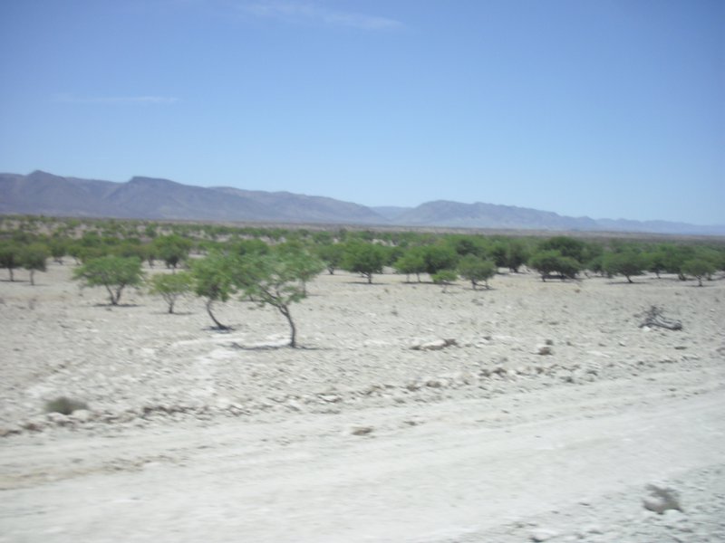 Image CIMG8134.JPG
