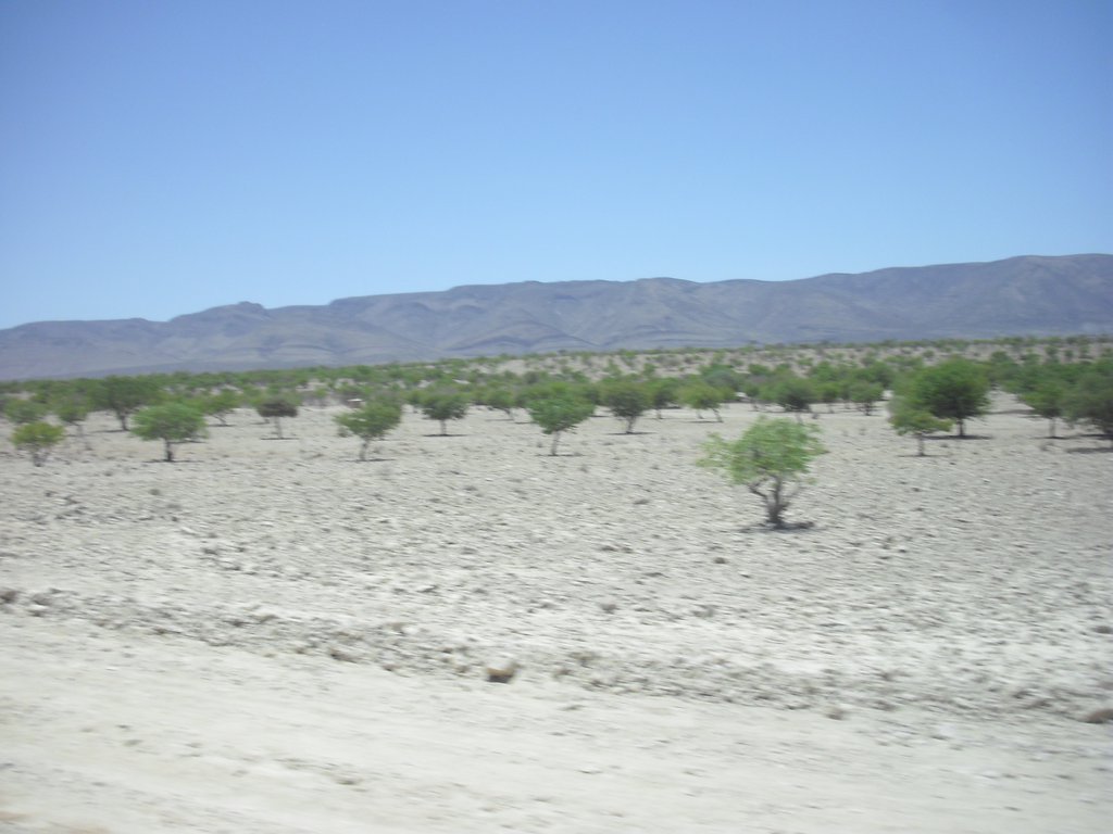 Image CIMG8135.JPG