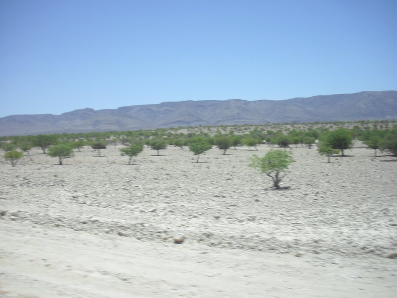 Image CIMG8135.JPG
