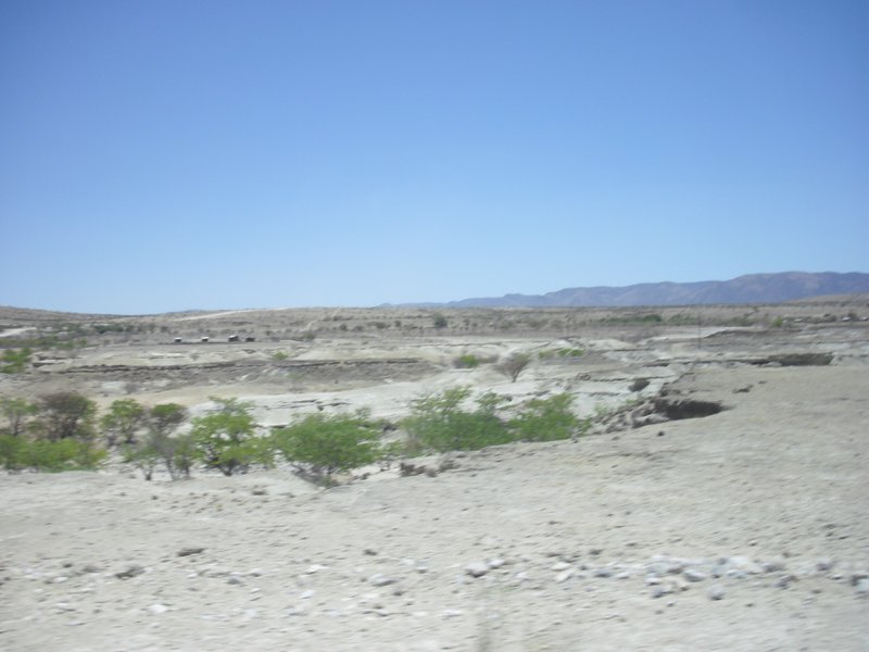 Image CIMG8136.JPG