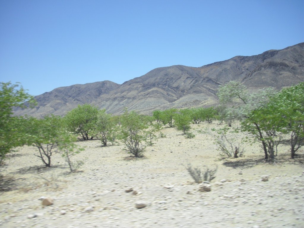 Image CIMG8137.JPG
