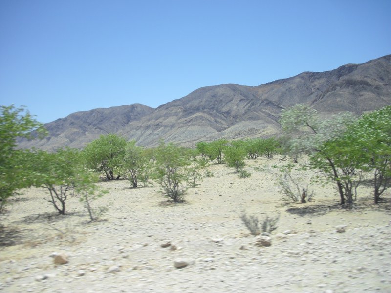 Image CIMG8137.JPG
