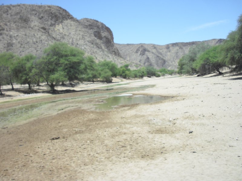 Image CIMG8138.JPG