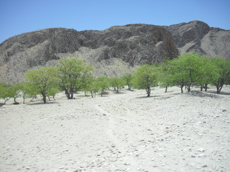 Image CIMG8139.JPG