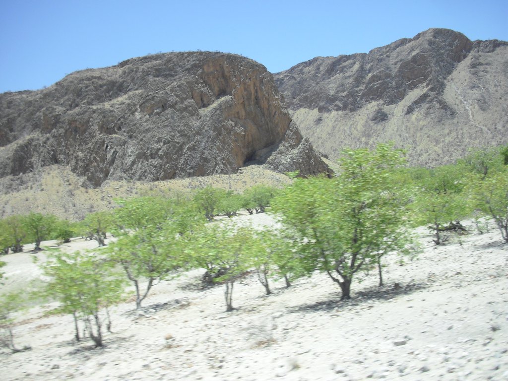 Image CIMG8140.JPG