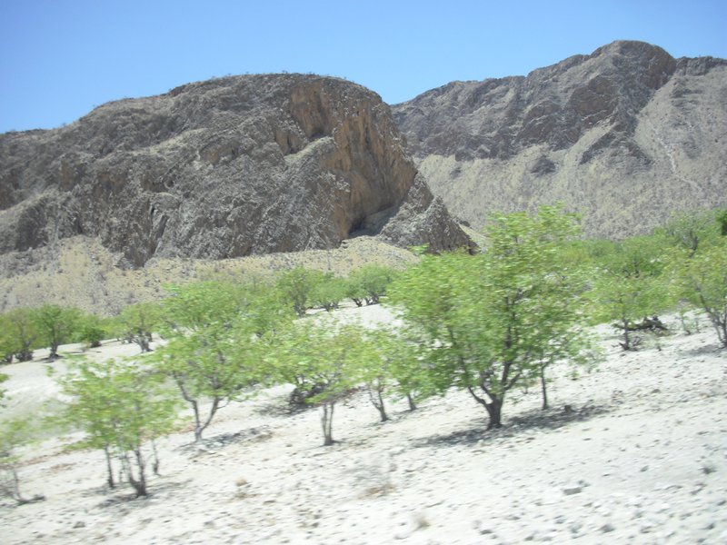 Image CIMG8140.JPG