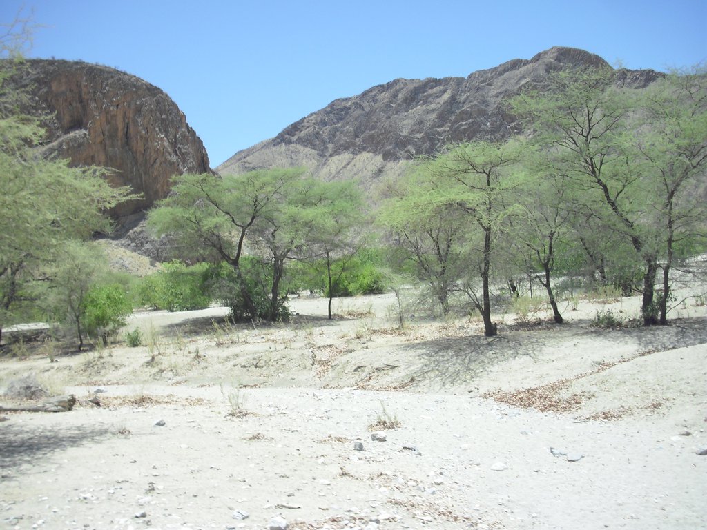 Image CIMG8141.JPG