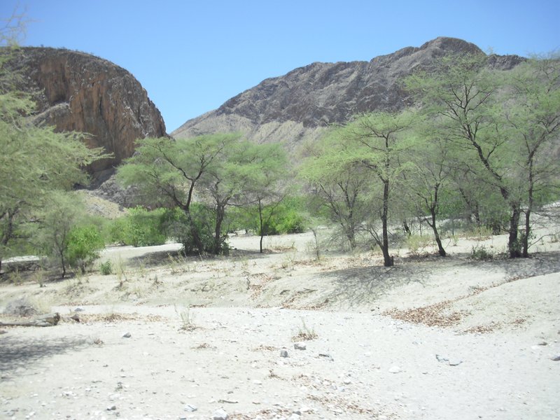 Image CIMG8141.JPG