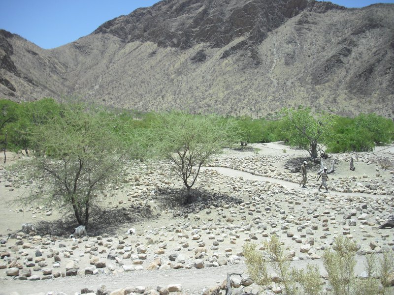 Image CIMG8145.JPG