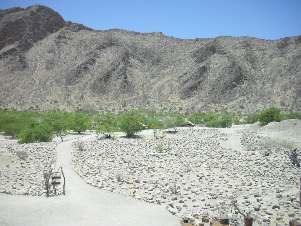 Image CIMG8146.JPG