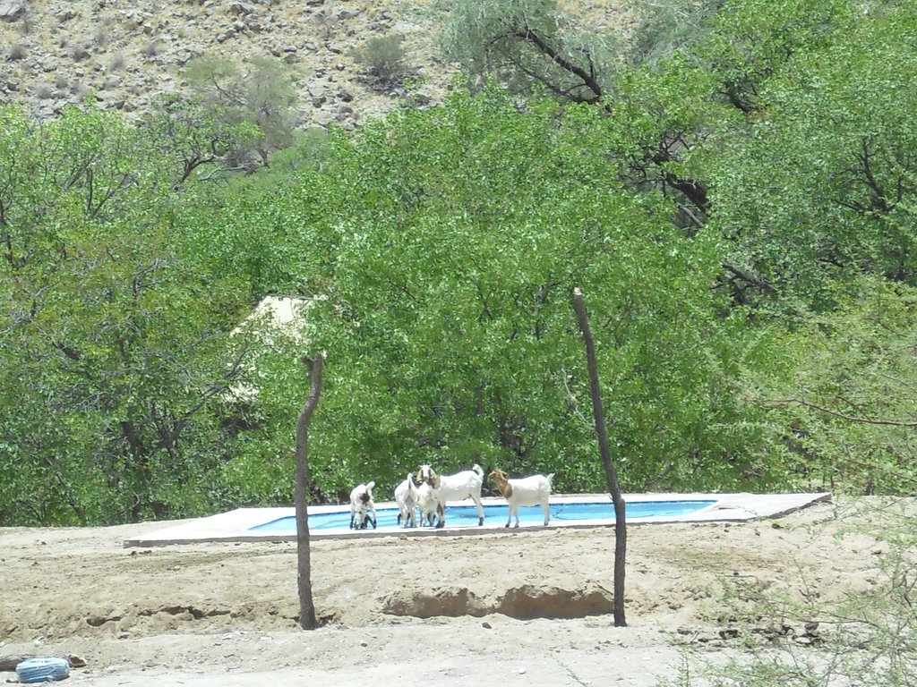 Image CIMG8148.JPG