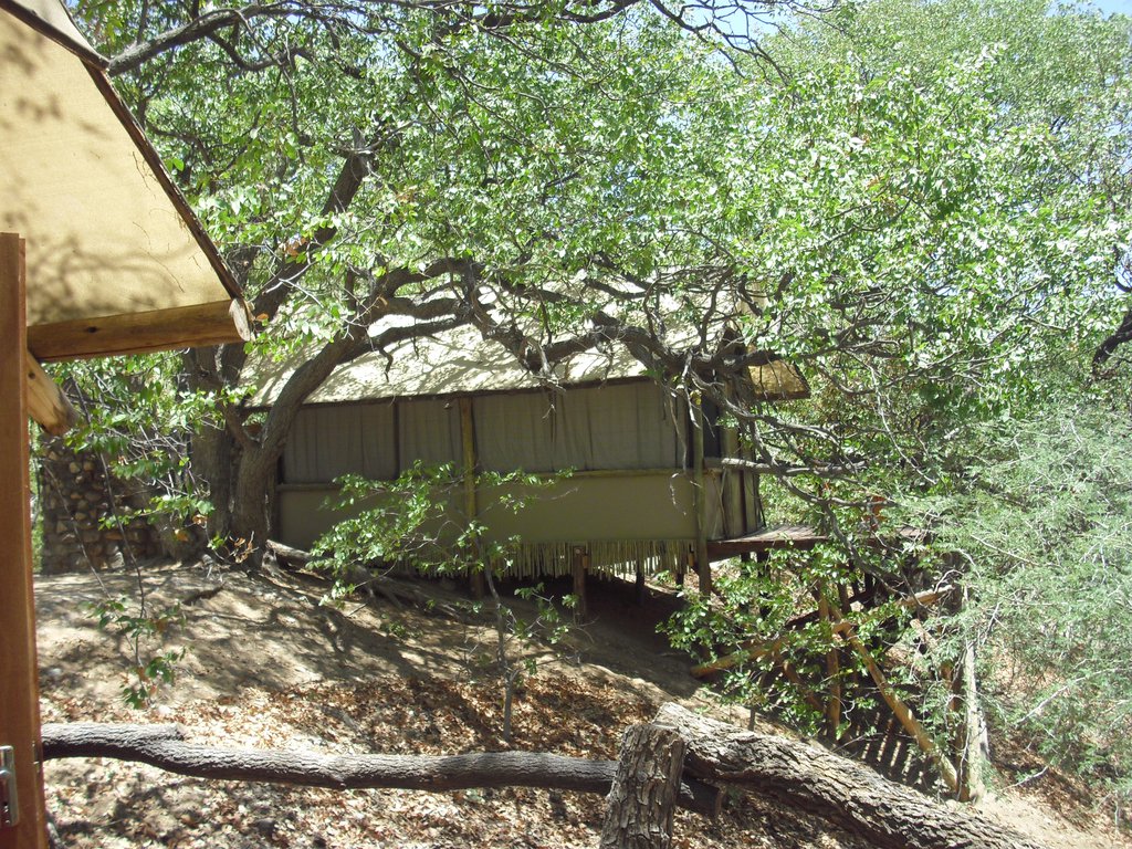 Image CIMG8151.JPG