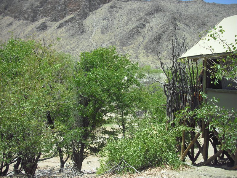 Image CIMG8155.JPG