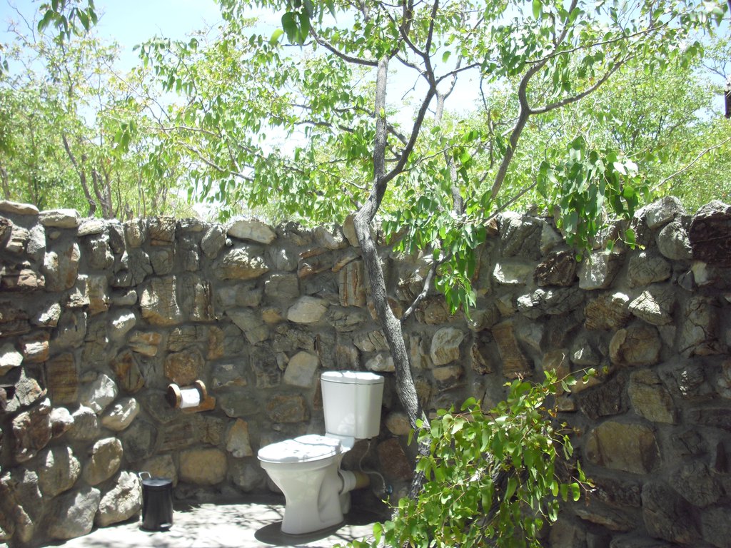 Image CIMG8156.JPG