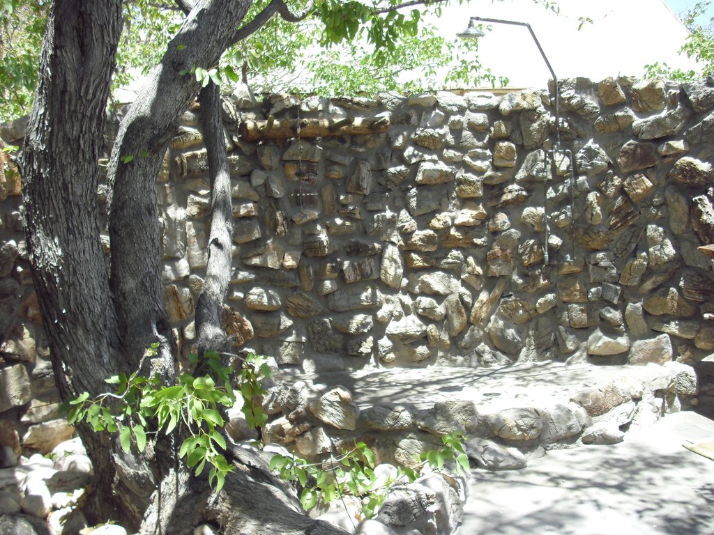 Image CIMG8157.JPG
