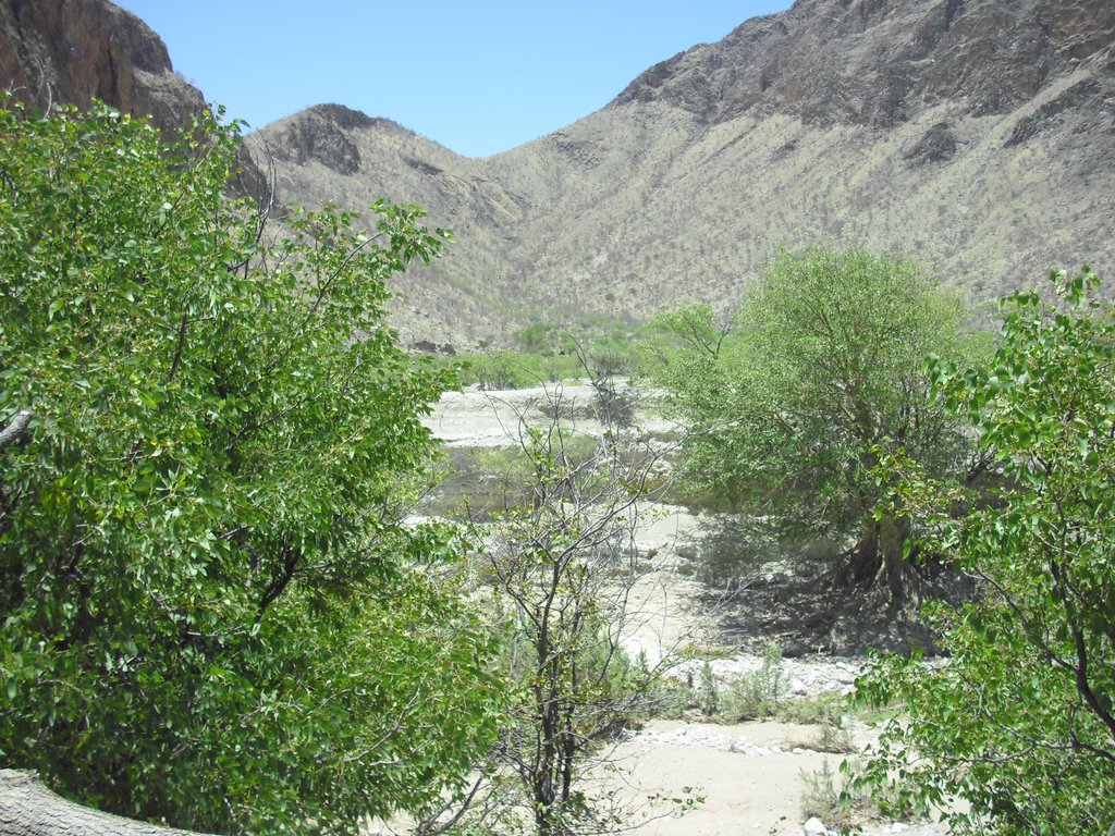 Image CIMG8160.JPG