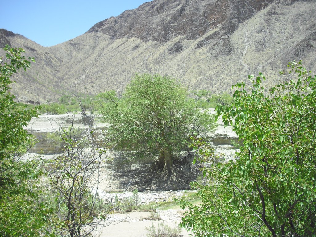 Image CIMG8162.JPG