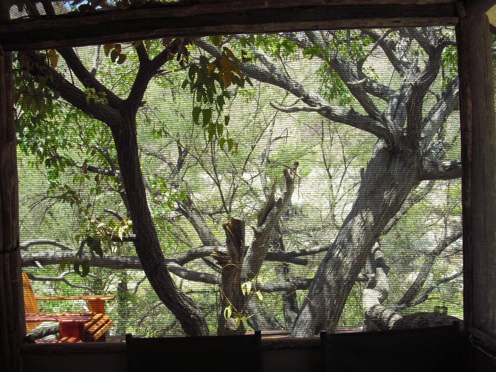 Image CIMG8164.JPG