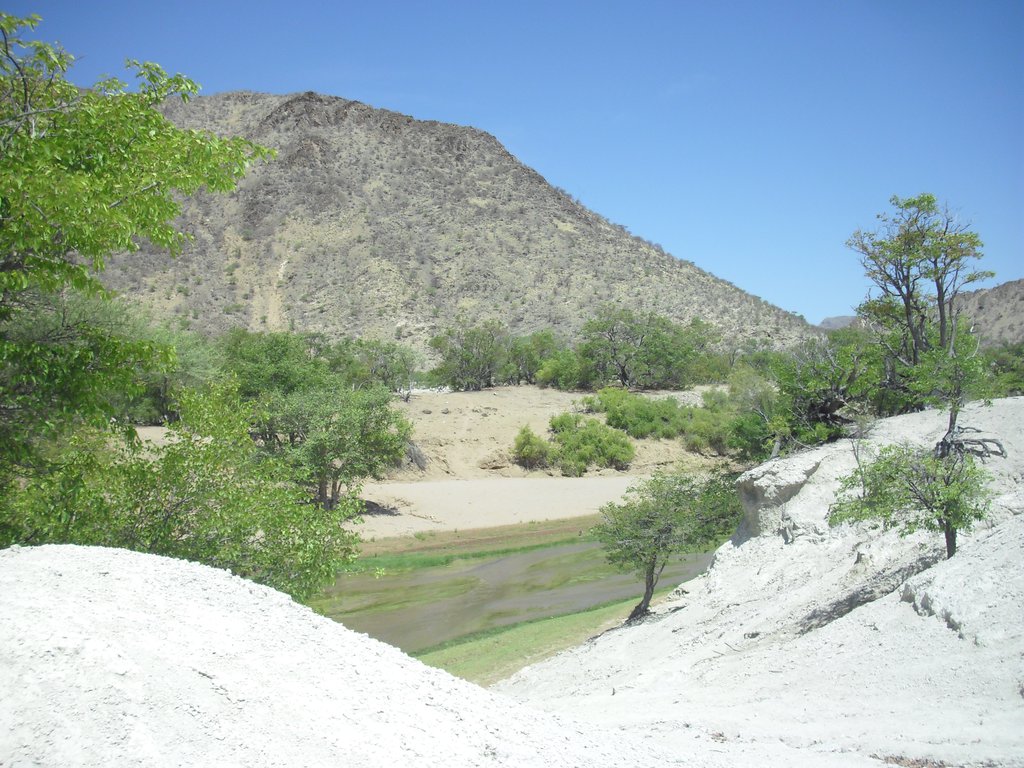 Image CIMG8167.JPG