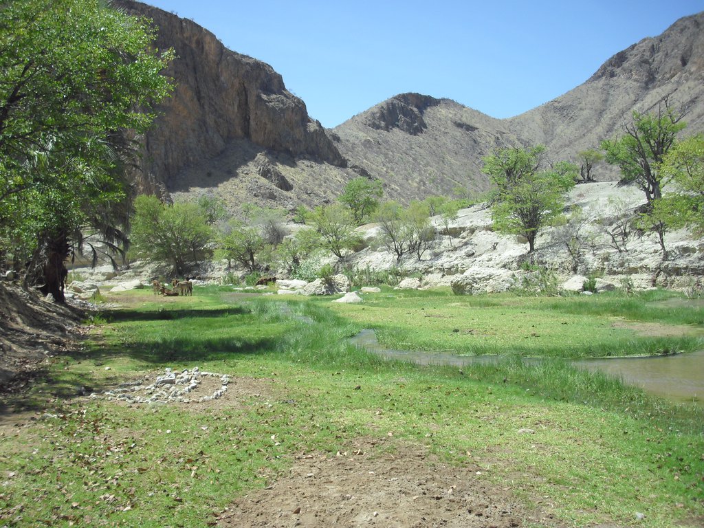 Image CIMG8168.JPG