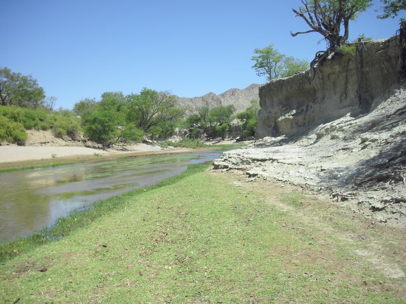 Image CIMG8169.JPG