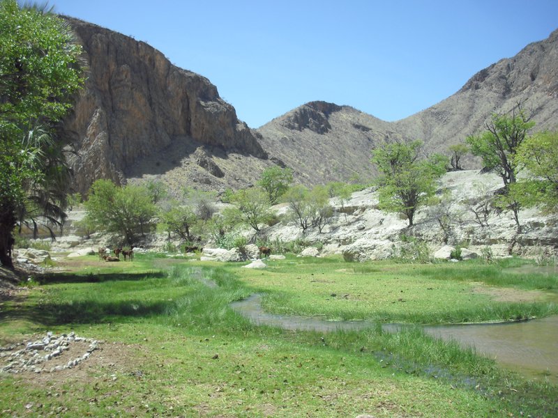 Image CIMG8170.JPG