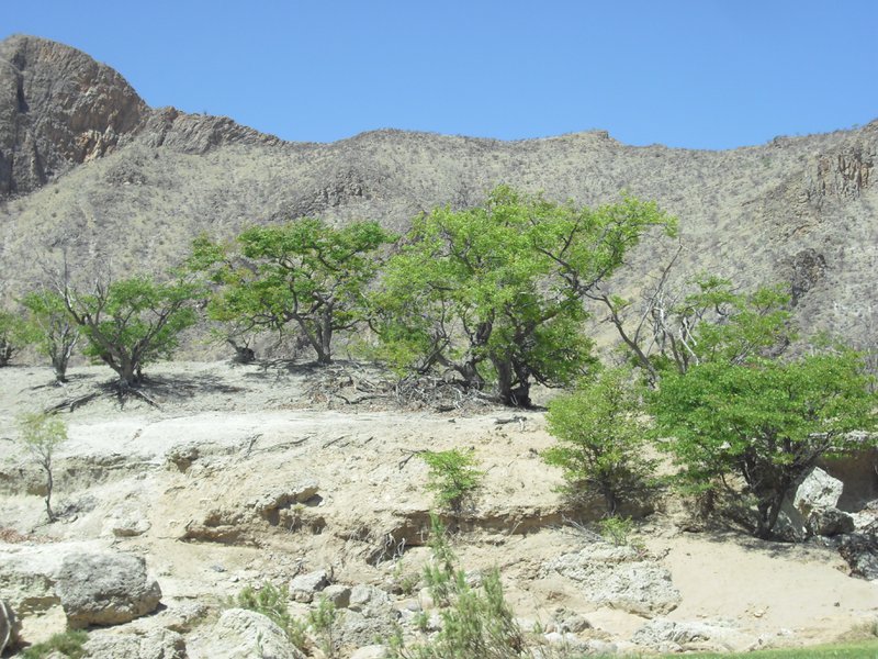 Image CIMG8171.JPG