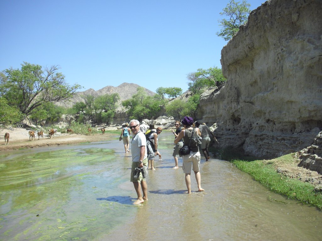 Image CIMG8174.JPG