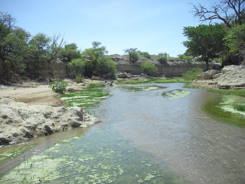 Image CIMG8177.JPG