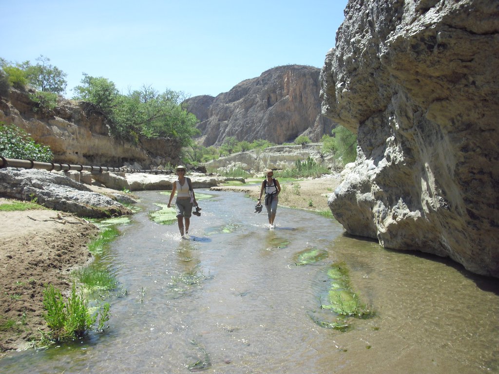 Image CIMG8178.JPG