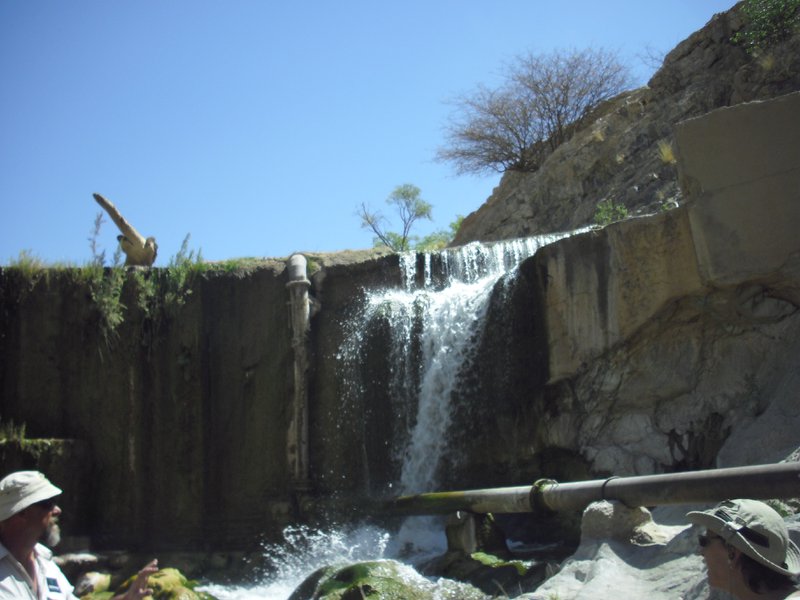 Image CIMG8179.JPG