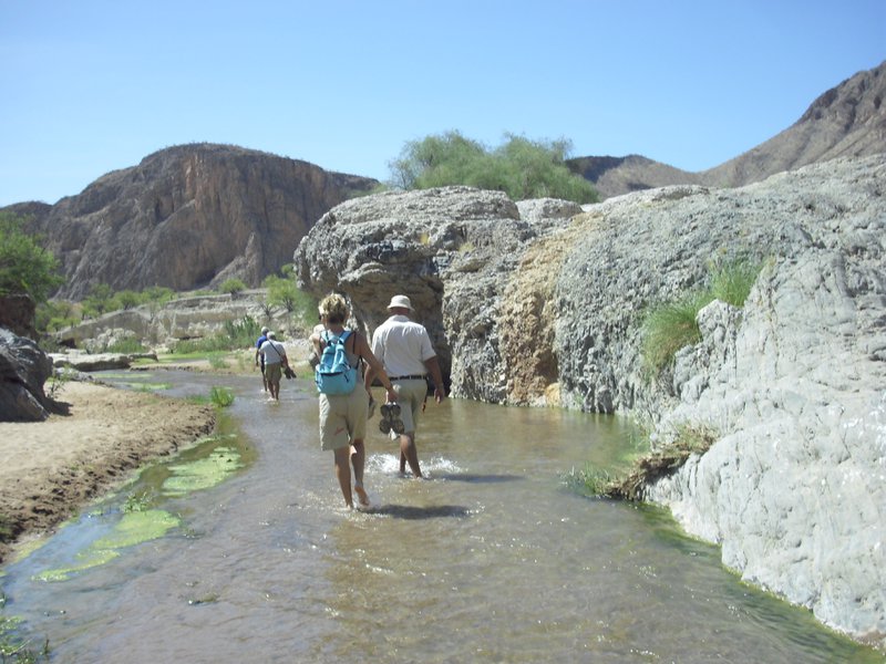 Image CIMG8180.JPG