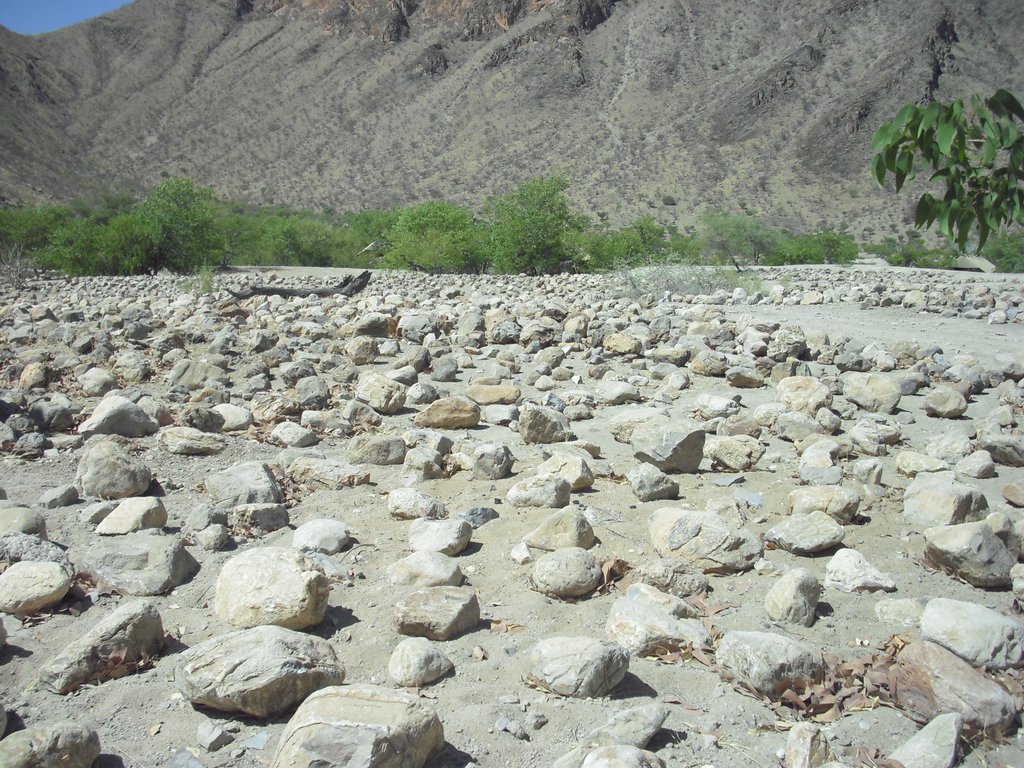 Image CIMG8181.JPG