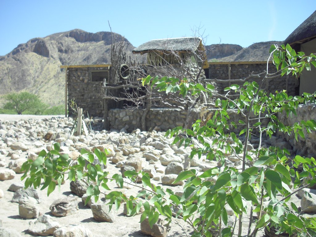 Image CIMG8182.JPG