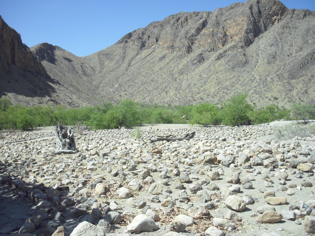 Image CIMG8183.JPG