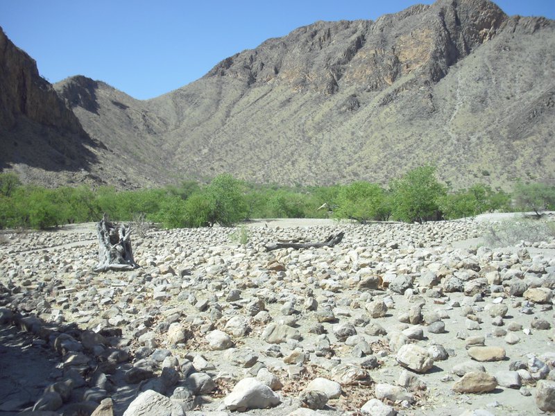 Image CIMG8183.JPG
