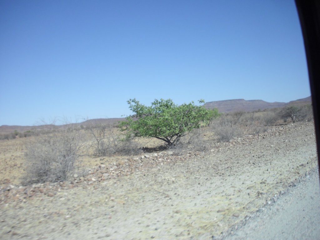 Image CIMG8184.JPG