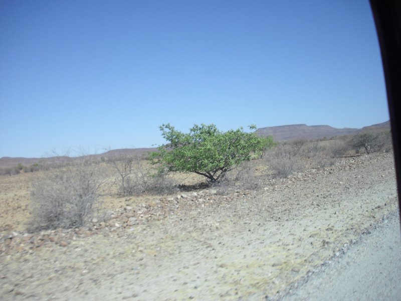 Image CIMG8184.JPG