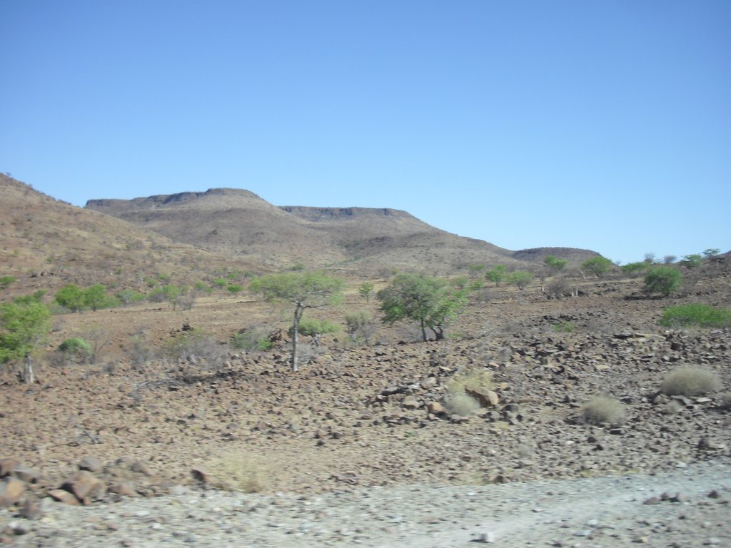 Image CIMG8190.JPG