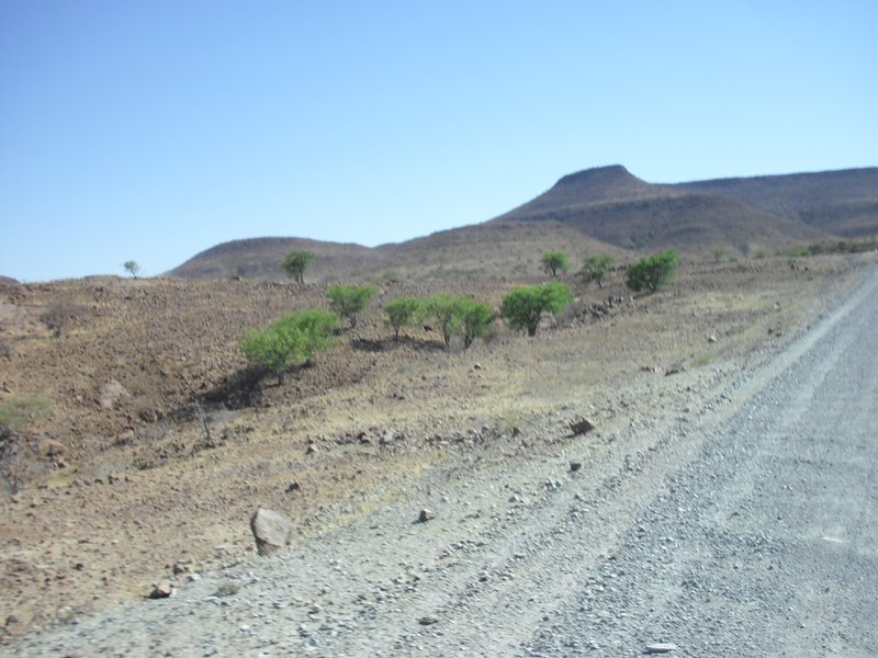 Image CIMG8191.JPG