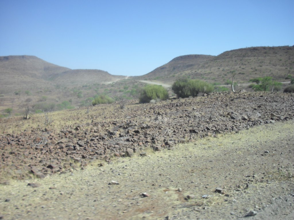 Image CIMG8193.JPG