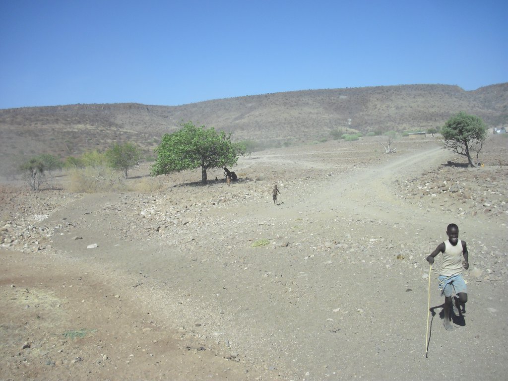 Image CIMG8195.JPG