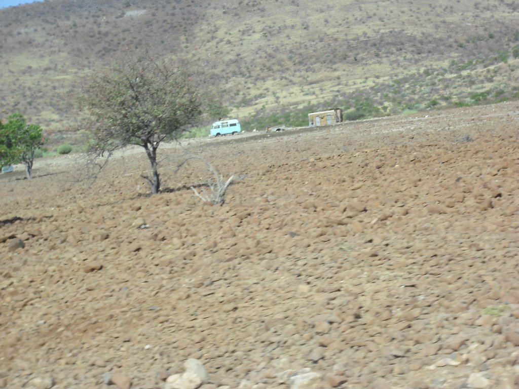 Image CIMG8197.JPG
