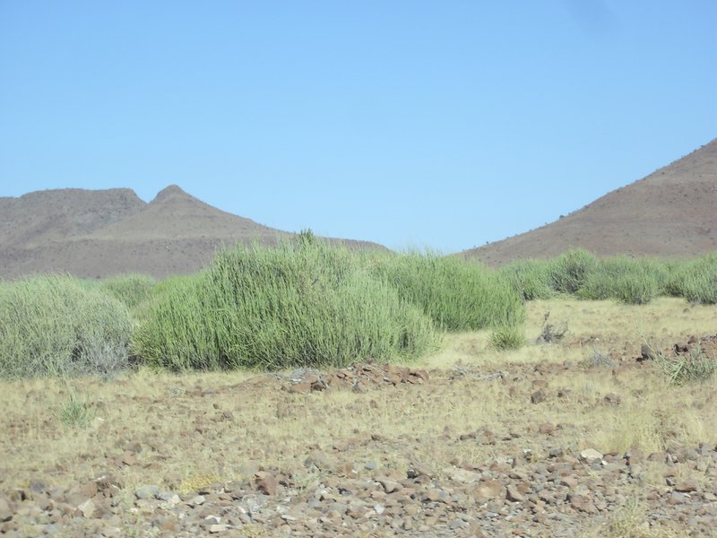 Image CIMG8201.JPG