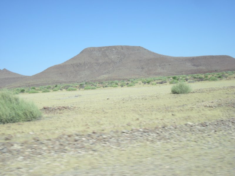 Image CIMG8202.JPG