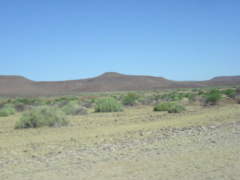 Image CIMG8203.JPG